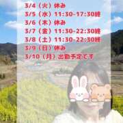 ヒメ日記 2025/03/03 21:21 投稿 りの マダム可憐