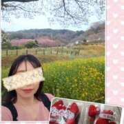 ヒメ日記 2025/03/28 20:55 投稿 りの マダム可憐