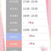 ヒメ日記 2025/03/31 17:49 投稿 りの マダム可憐