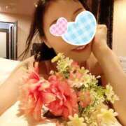 ヒメ日記 2025/03/31 21:48 投稿 りの マダム可憐