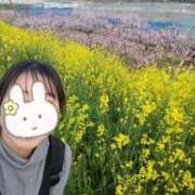 ヒメ日記 2025/04/08 21:17 投稿 りの マダム可憐