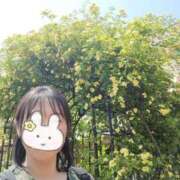 ヒメ日記 2025/04/21 09:23 投稿 りの マダム可憐