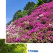 ヒメ日記 2025/05/20 14:59 投稿 りの マダム可憐