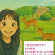 ヒメ日記 2025/06/15 11:58 投稿 りの マダム可憐