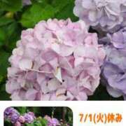 ヒメ日記 2025/06/30 22:34 投稿 りの マダム可憐