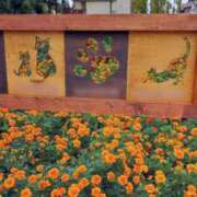 ヒメ日記 2025/07/02 16:44 投稿 りの マダム可憐