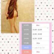 ヒメ日記 2025/09/01 11:34 投稿 りの マダム可憐