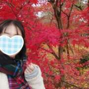 りの お得なイベント💗 マダム可憐