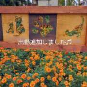 ヒメ日記 2025/12/29 11:31 投稿 りの マダム可憐