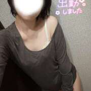 ヒメ日記 2025/12/31 12:01 投稿 りの マダム可憐