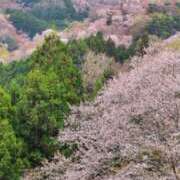 ヒメ日記 2026/04/03 18:53 投稿 りの マダム可憐