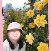 ヒメ日記 2026/04/27 12:27 投稿 りの マダム可憐