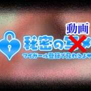 ヒメ日記 2024/02/14 12:53 投稿 みほ 奥様さくら日本橋店