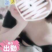 ヒメ日記 2025/02/13 17:09 投稿 みほ 奥様さくら日本橋店