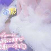 ヒメ日記 2025/04/03 12:36 投稿 みほ 奥様さくら日本橋店