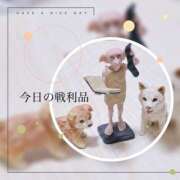 ヒメ日記 2025/04/06 12:16 投稿 みほ 奥様さくら日本橋店