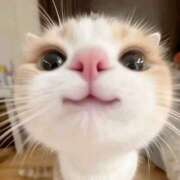 ヒメ日記 2025/06/24 14:11 投稿 みほ 奥様さくら日本橋店