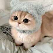 ヒメ日記 2025/07/04 18:17 投稿 みほ 奥様さくら日本橋店