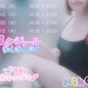 ヒメ日記 2025/07/26 11:38 投稿 みほ 奥様さくら日本橋店