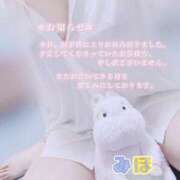 ヒメ日記 2025/08/19 13:56 投稿 みほ 奥様さくら日本橋店