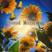 ヒメ日記 2025/07/29 10:40 投稿 笑子奥様 母ちゃんの秘密