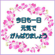 ヒメ日記 2026/06/09 08:25 投稿 笑子奥様 母ちゃんの秘密