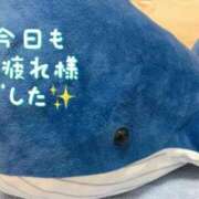 ヒメ日記 2023/10/31 22:51 投稿 さつき 福島郡山ちゃんこ