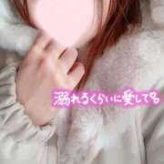 ヒメ日記 2025/11/26 14:31 投稿 みさき 紳士な僕はふんわり彼女の調教師