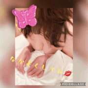 ヒメ日記 2024/12/16 22:45 投稿 中野(なかの)奥様 金沢の20代30代40代50代が集う人妻倶楽部