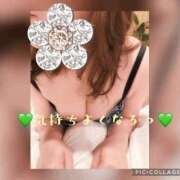 ヒメ日記 2025/02/13 15:19 投稿 中野(なかの)奥様 金沢の20代30代40代50代が集う人妻倶楽部