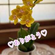 ヒメ日記 2025/03/04 20:20 投稿 中野(なかの)奥様 金沢の20代30代40代50代が集う人妻倶楽部