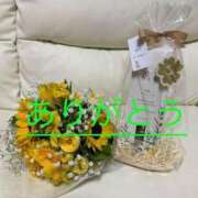 ヒメ日記 2025/03/06 09:20 投稿 中野(なかの)奥様 金沢の20代30代40代50代が集う人妻倶楽部