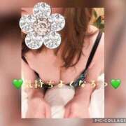 ヒメ日記 2025/03/15 13:48 投稿 中野(なかの)奥様 金沢の20代30代40代50代が集う人妻倶楽部