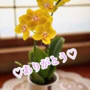 ヒメ日記 2025/03/27 00:18 投稿 中野(なかの)奥様 金沢の20代30代40代50代が集う人妻倶楽部