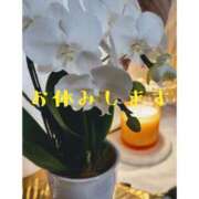 ヒメ日記 2025/06/16 09:33 投稿 中野(なかの)奥様 金沢の20代30代40代50代が集う人妻倶楽部