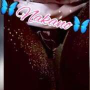 ヒメ日記 2026/02/19 15:33 投稿 中野(なかの)奥様 金沢の20代30代40代50代が集う人妻倶楽部