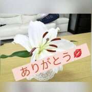 ヒメ日記 2026/03/16 23:18 投稿 中野(なかの)奥様 金沢の20代30代40代50代が集う人妻倶楽部