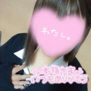 ヒメ日記 2025/11/24 12:22 投稿 まなみ 沼津人妻花壇