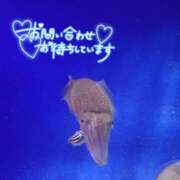 まなみ 次回出勤更新しました💃 沼津人妻花壇