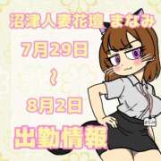 ヒメ日記 2026/07/29 11:45 投稿 まなみ 沼津人妻花壇