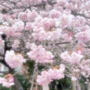 ヒメ日記 2025/08/07 14:53 投稿 さくら 府中ダービー