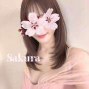 さくら 🌸スリム化計画✨️ 府中ダービー