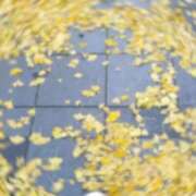 さくら 🌸お待ちしてます♡ 府中ダービー