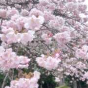 さくら 🌸出勤予定♡ 府中ダービー