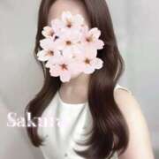 ヒメ日記 2026/02/16 19:13 投稿 さくら 府中ダービー