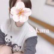 ヒメ日記 2026/03/21 22:53 投稿 さくら 府中ダービー