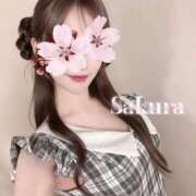 さくら 🌸黒っぽくなりました 府中ダービー
