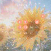 ヒメ日記 2026/08/04 09:46 投稿 さくら 府中ダービー