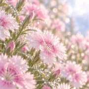 さくら 🌸おやすみなさい♪ 府中ダービー