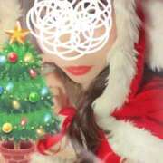 ヒメ日記 2024/12/24 10:00 投稿 まな 花影（かえい）